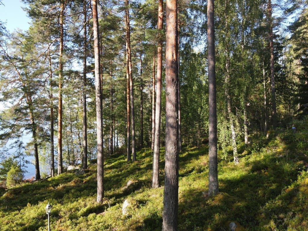 Kohdekuva 52