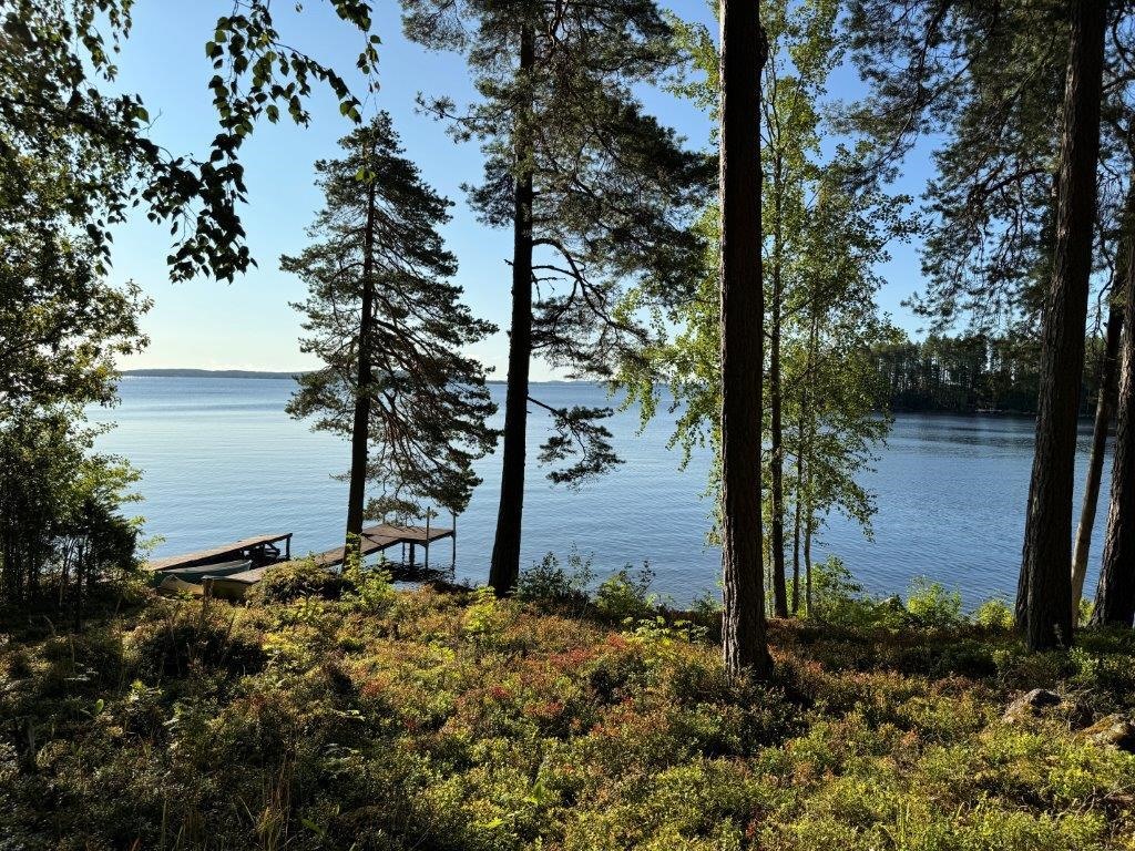 Kohdekuva 24