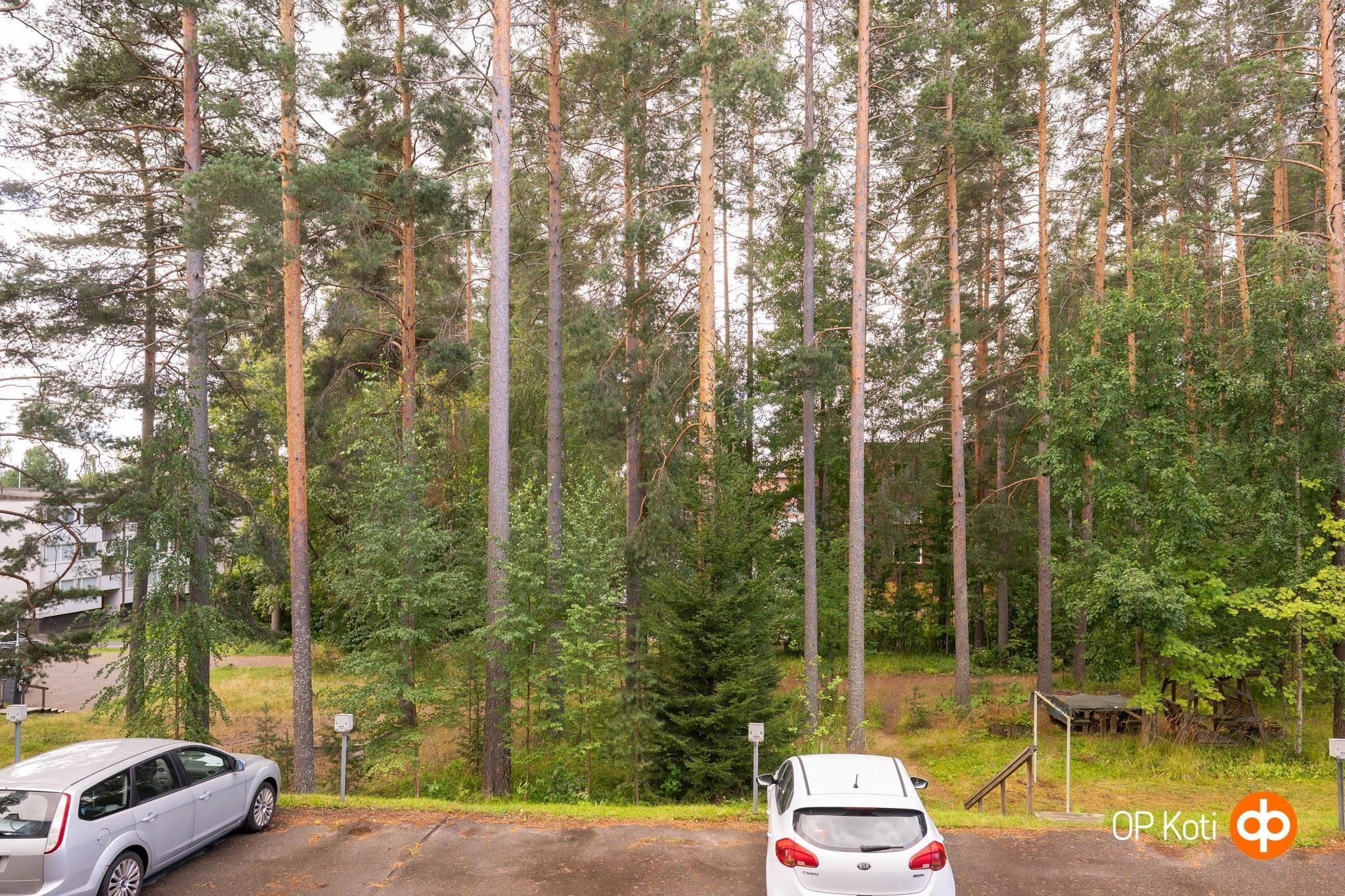 Kohdekuva 4
