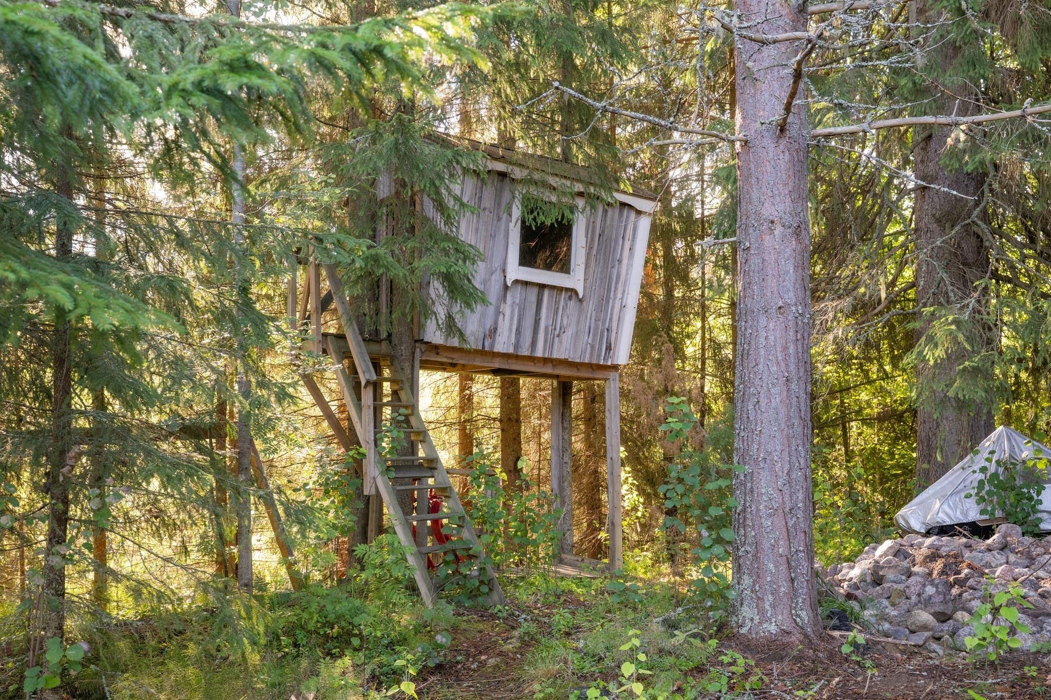 Kohdekuva 51