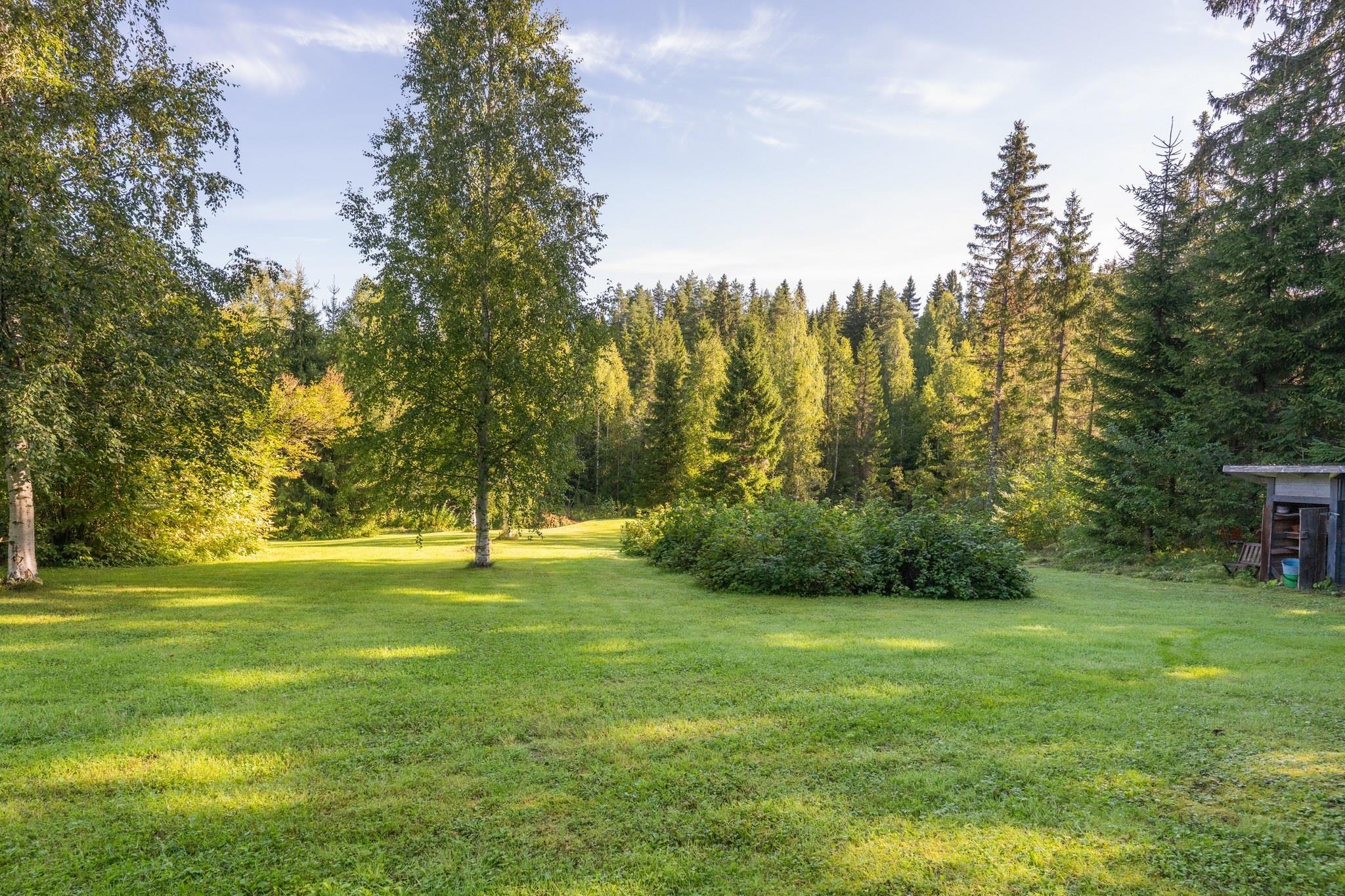Kohdekuva 47
