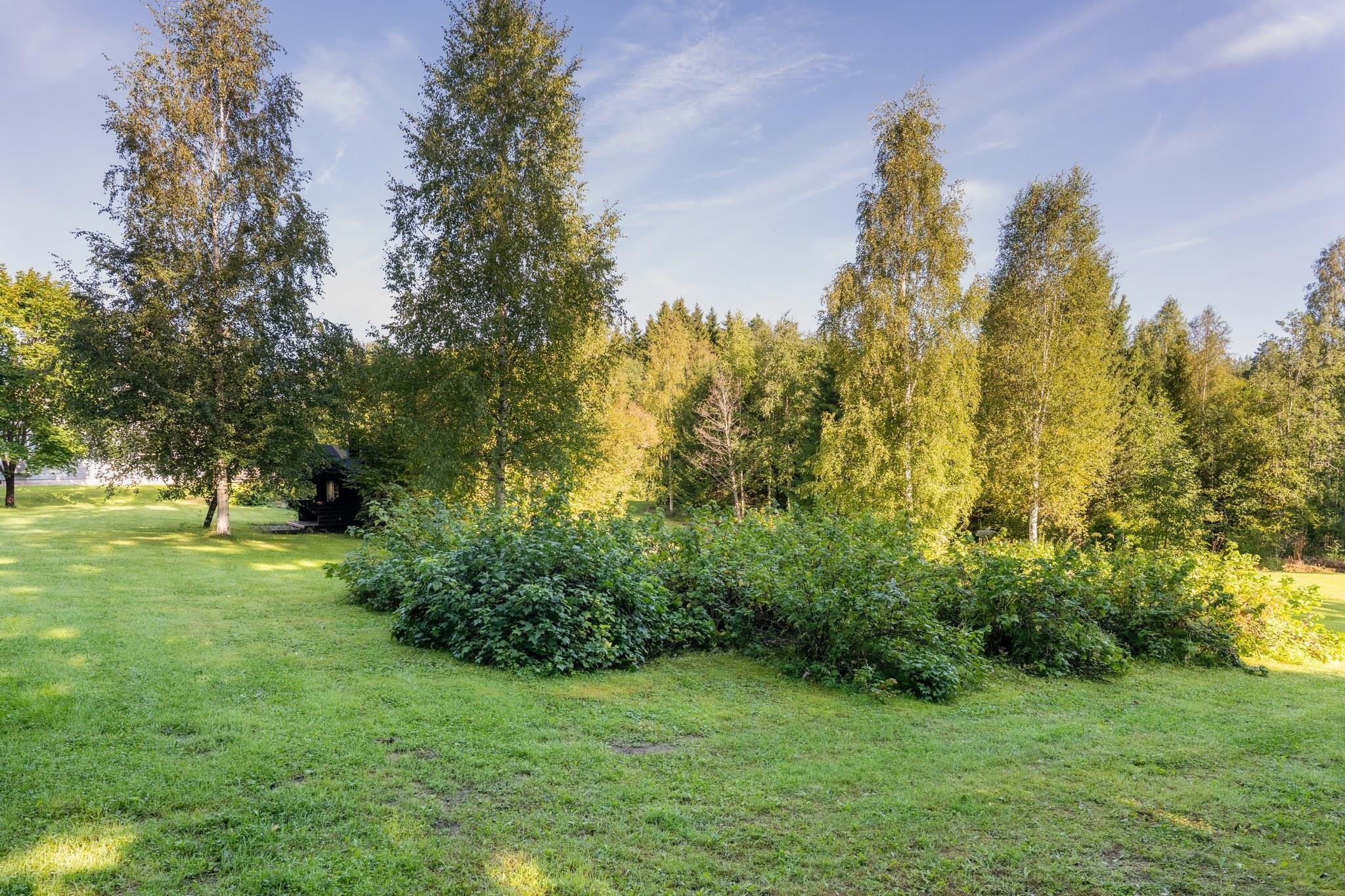 Kohdekuva 48