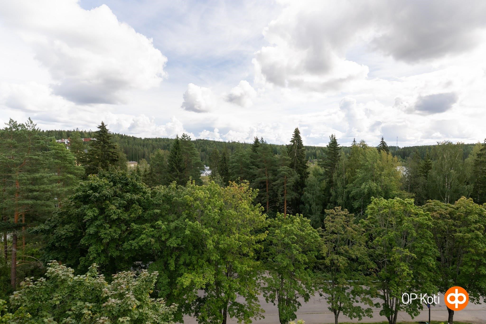 Kohdekuva 19
