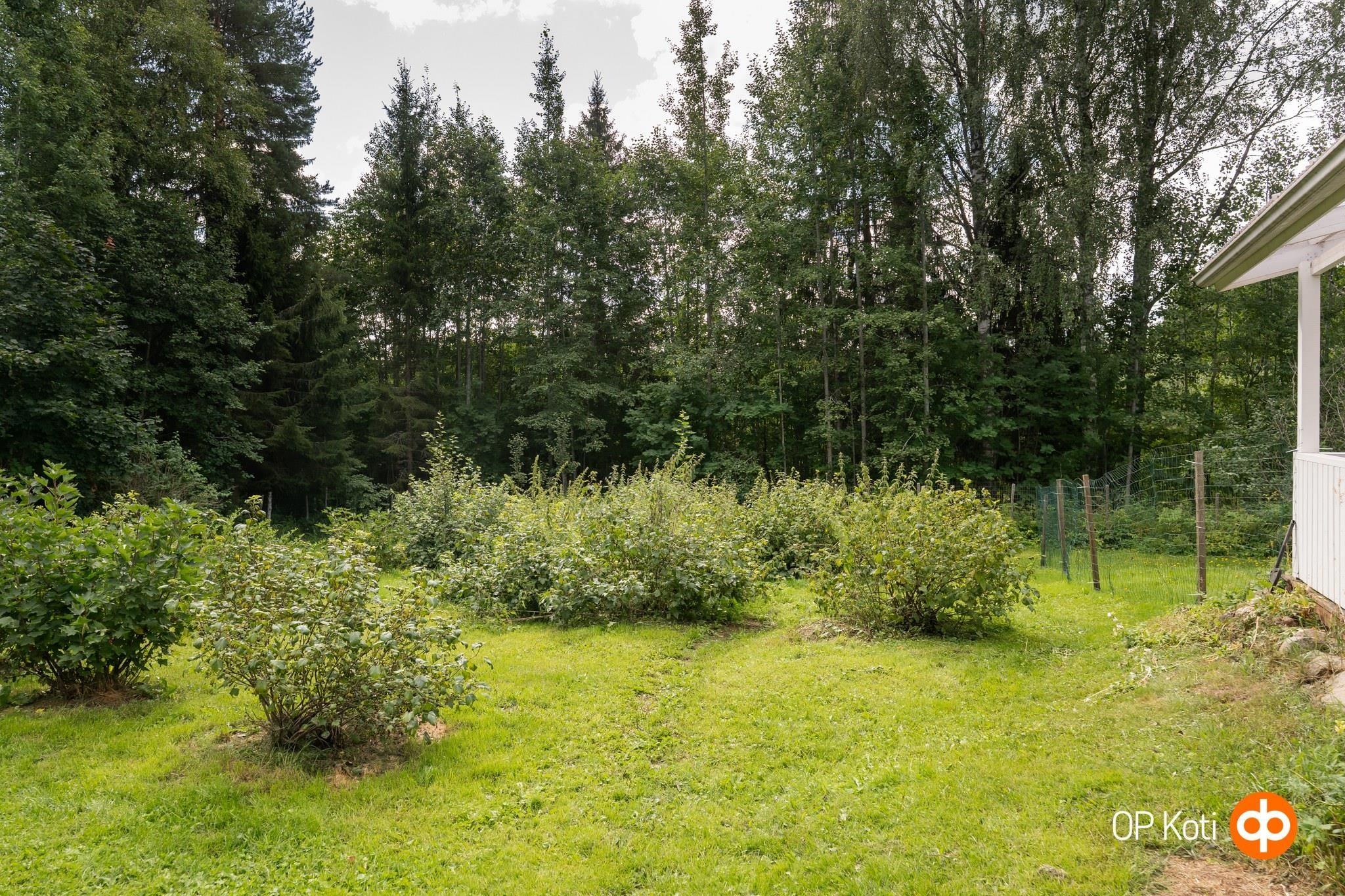 Kohdekuva 45