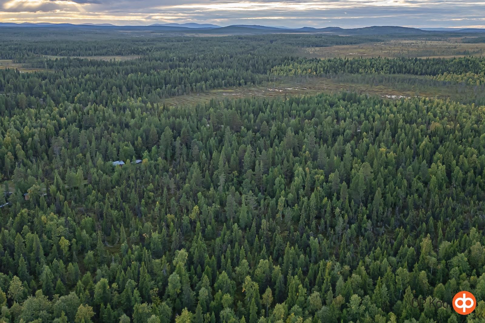 Kohdekuva 9