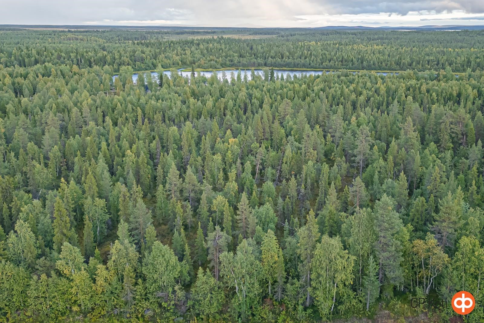 Kohdekuva 2