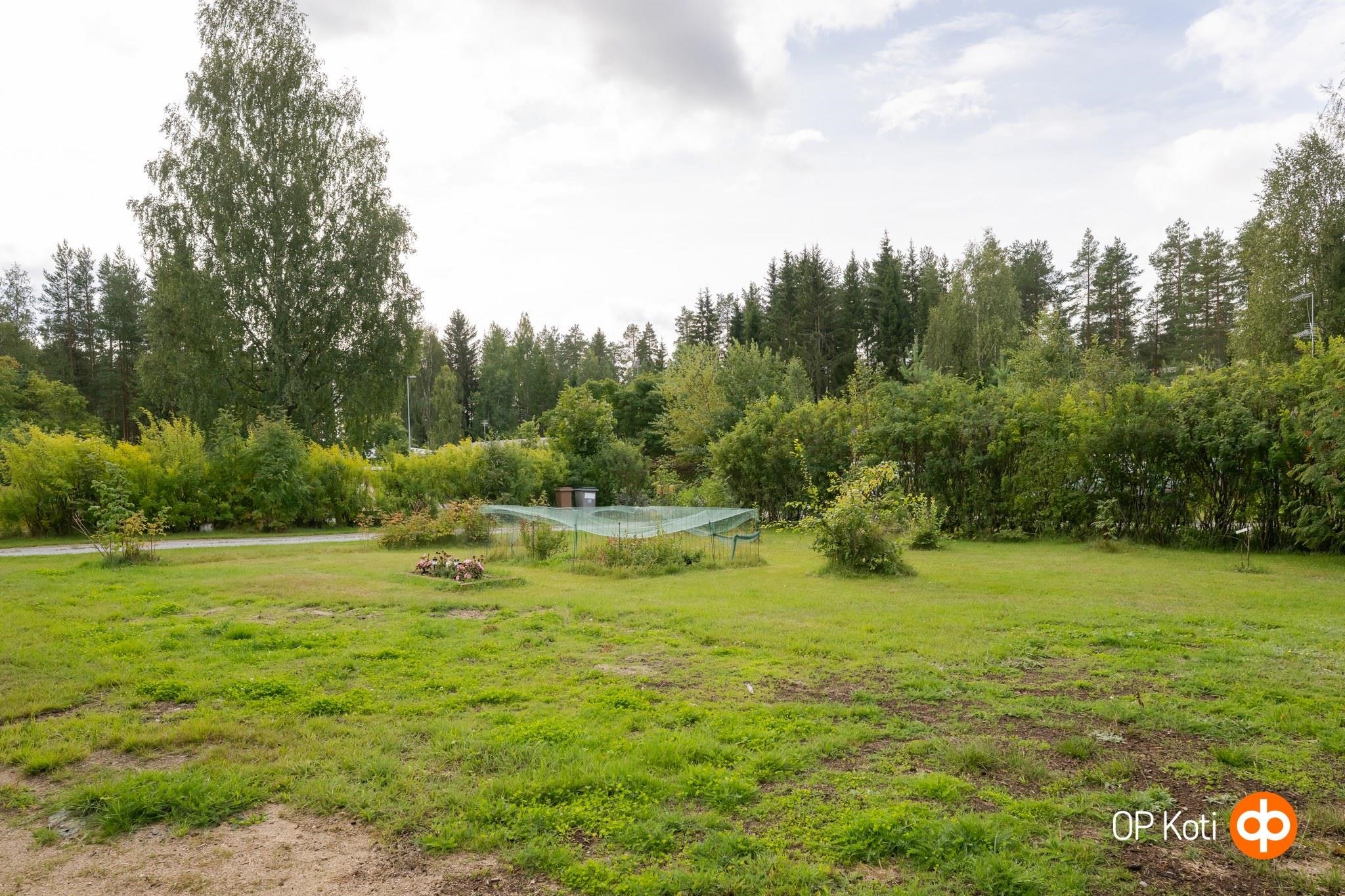 Kohdekuva 50