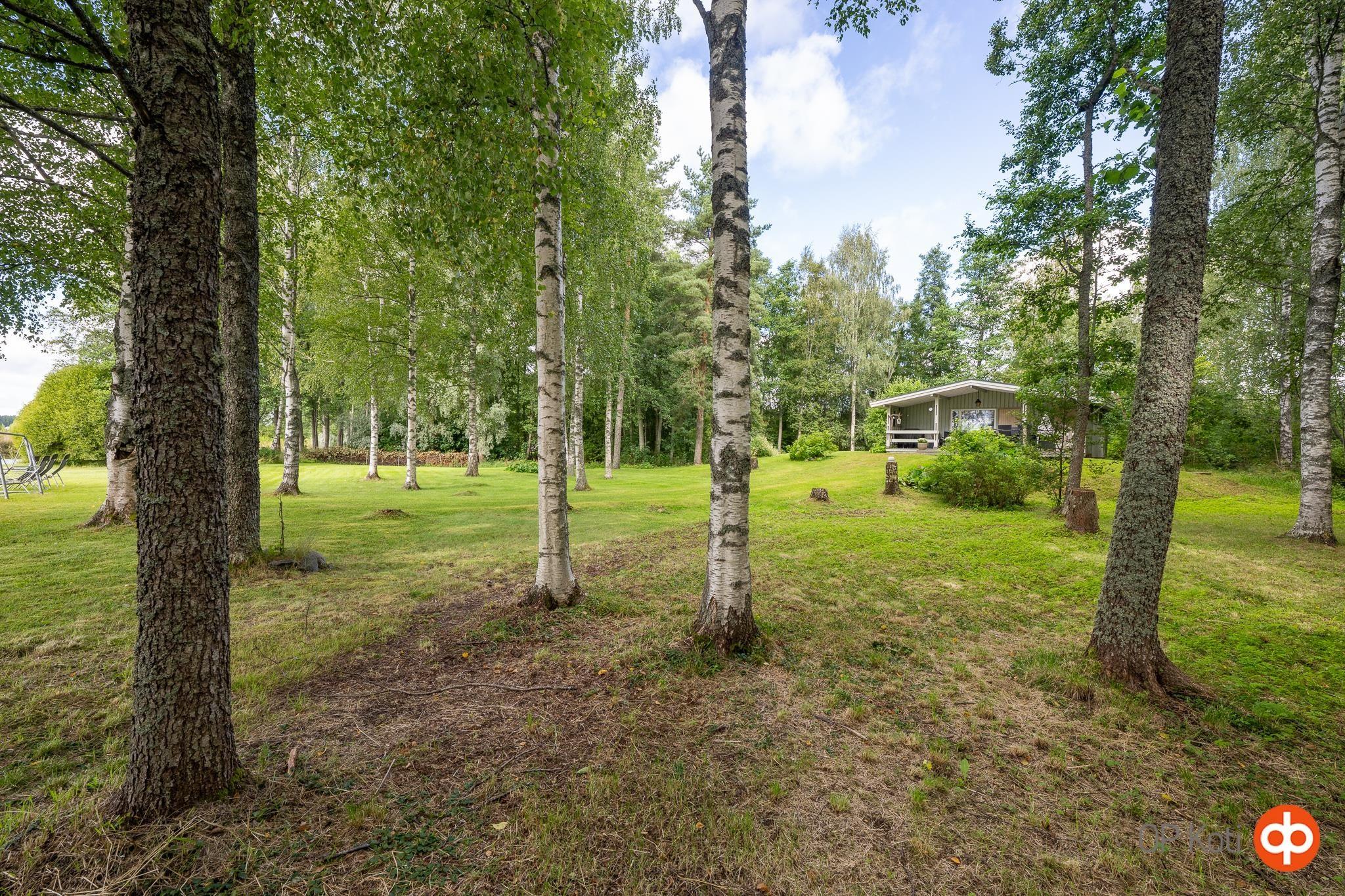 Kohdekuva 25