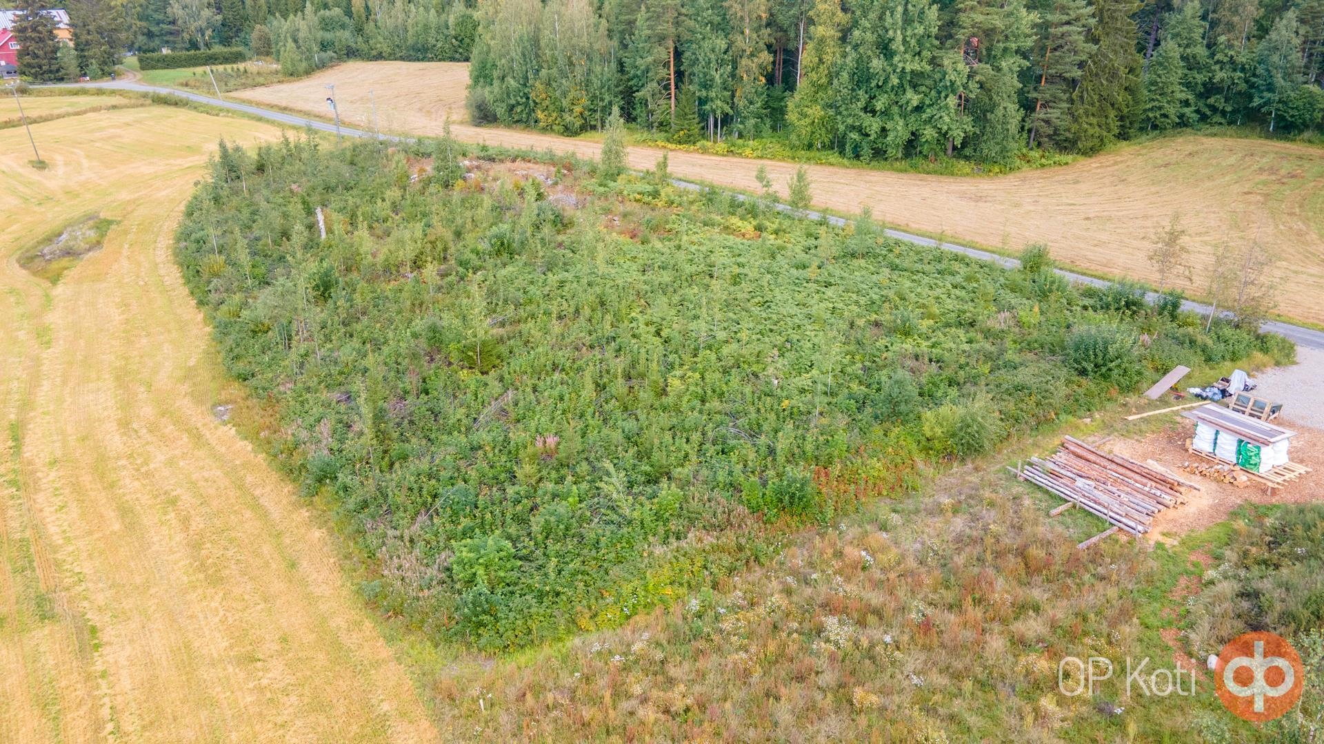 Kohdekuva 7