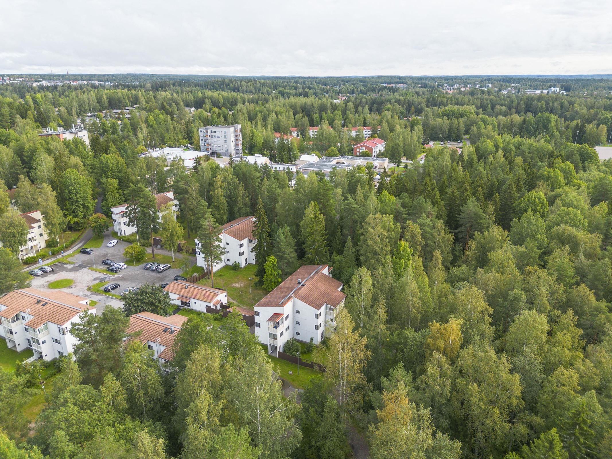 Kohdekuva 19