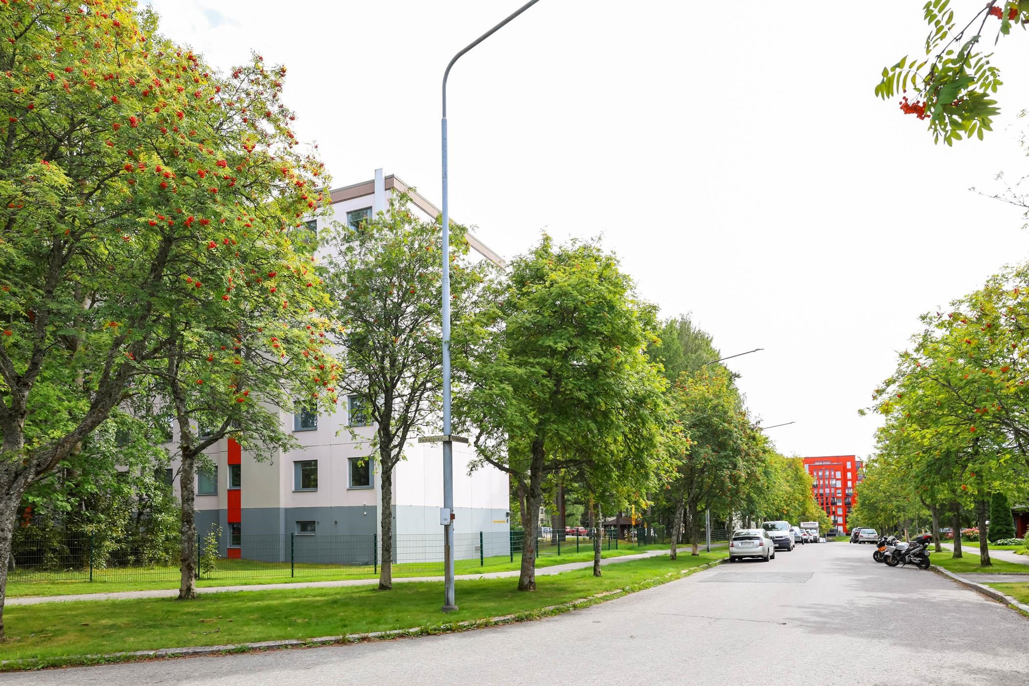 Kohdekuva 17