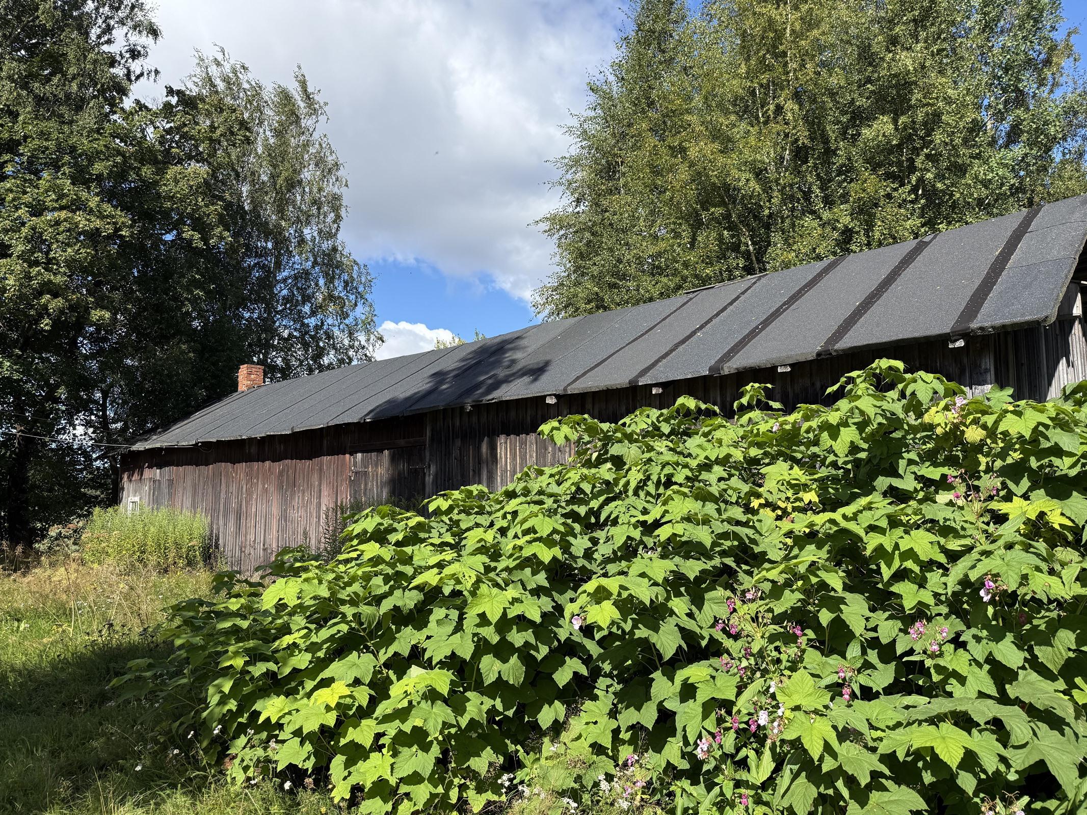 Kohdekuva 12