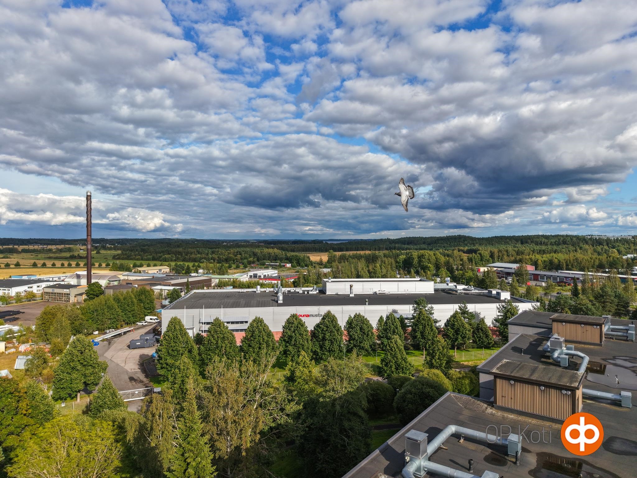 Kohdekuva 25
