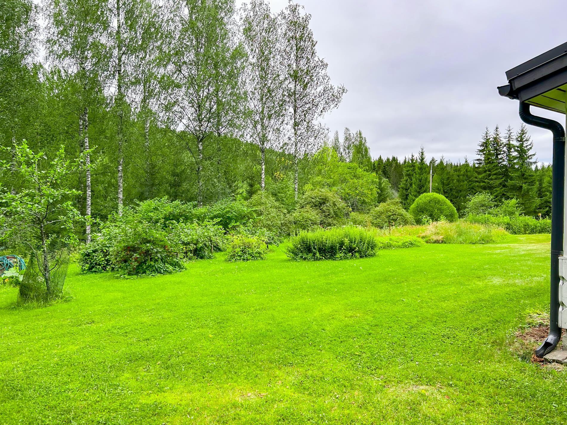 Kohdekuva 21