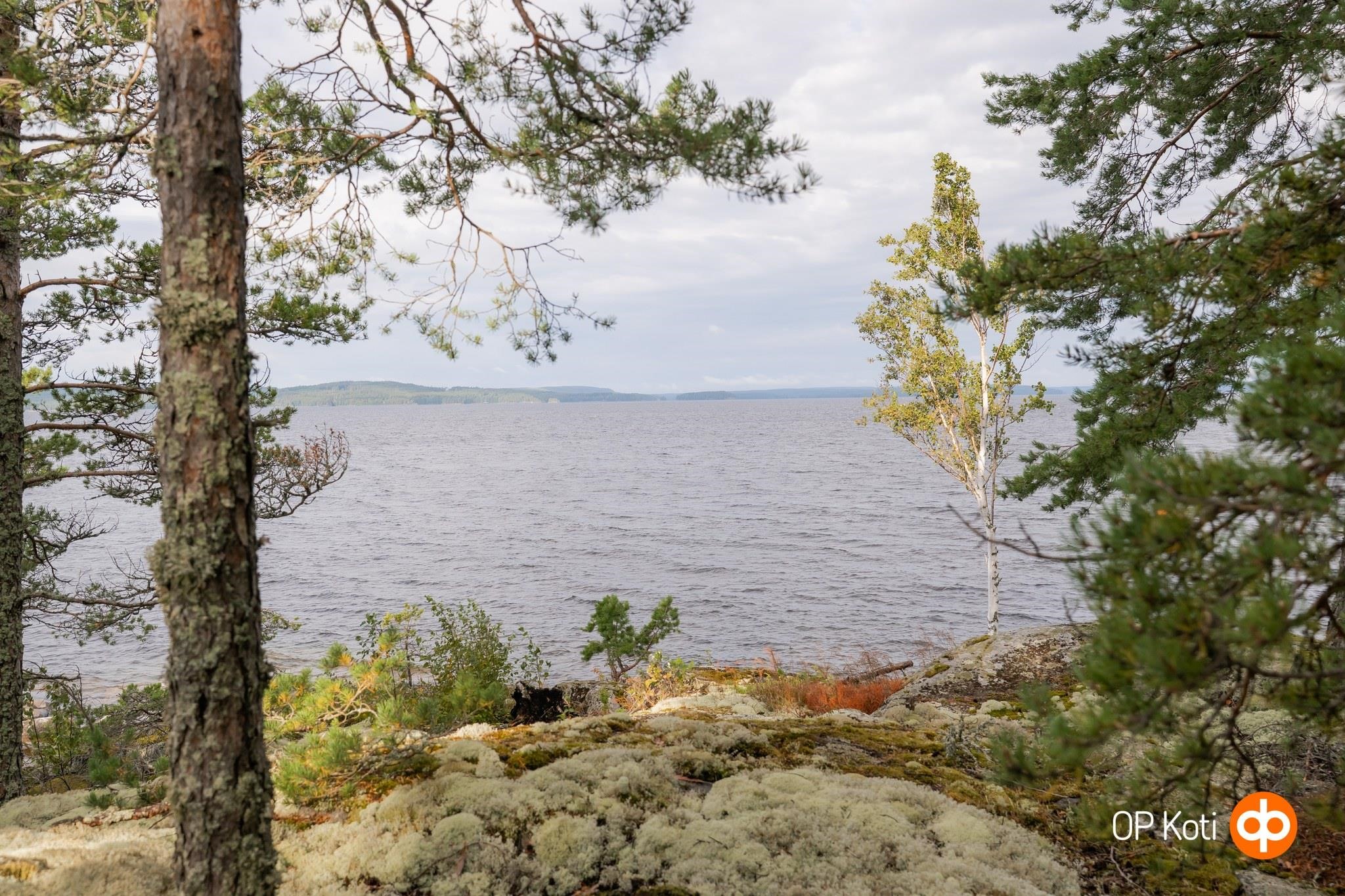 Kohdekuva 64