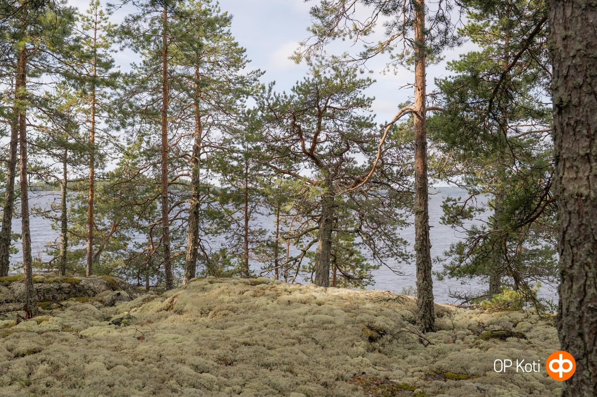 Kohdekuva 63