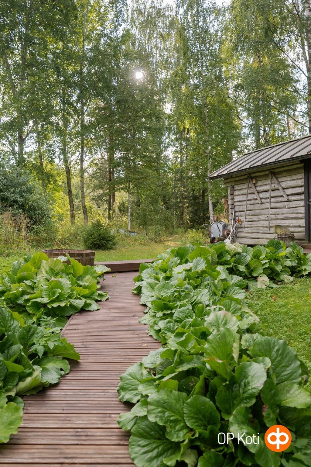 Kohdekuva 53
