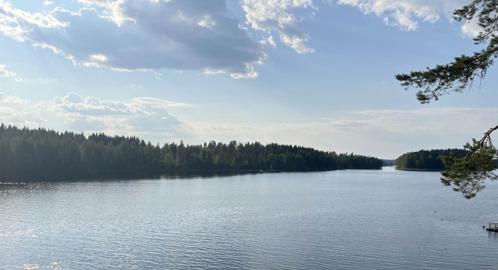 Kohdekuva 24