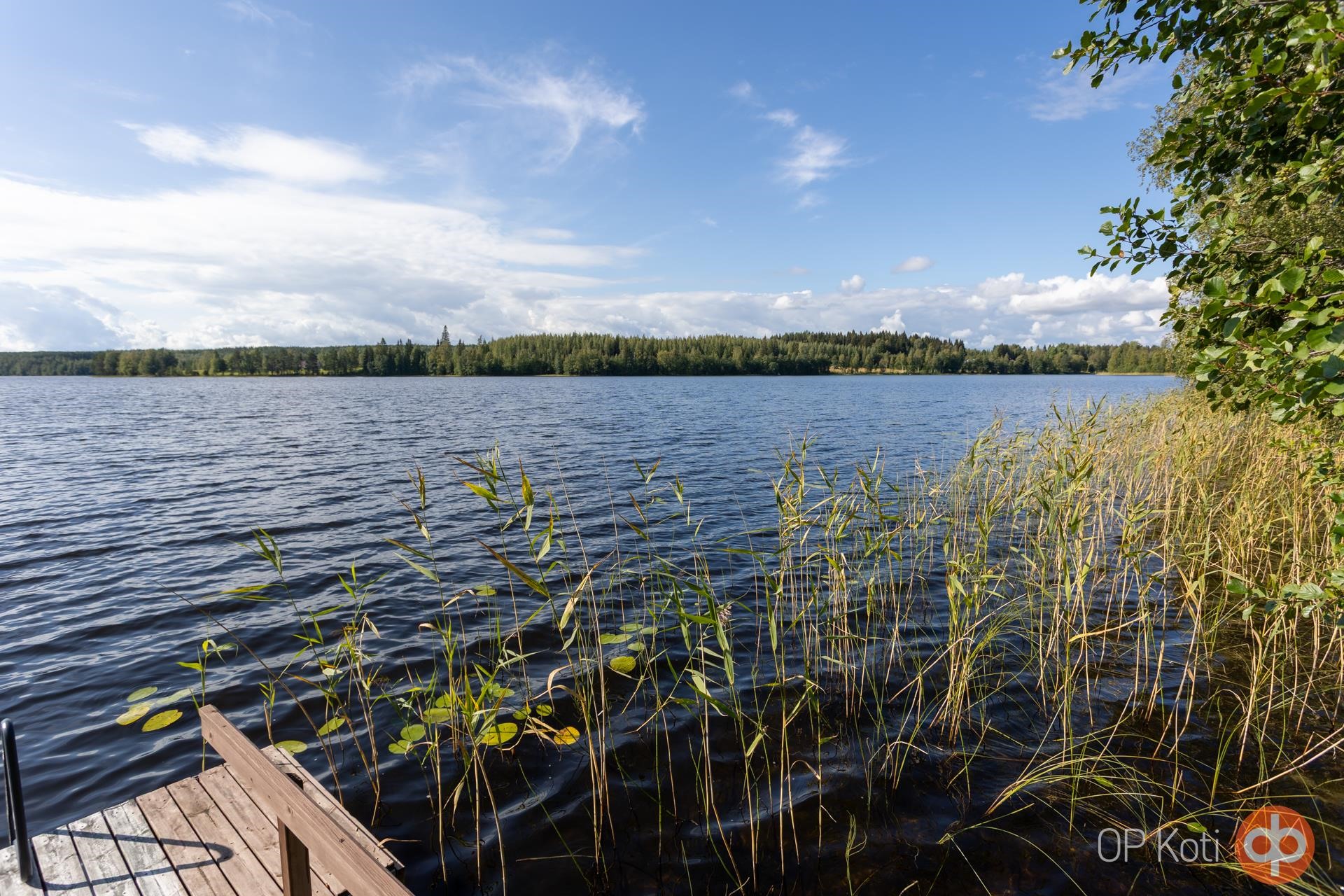 Kohdekuva 39
