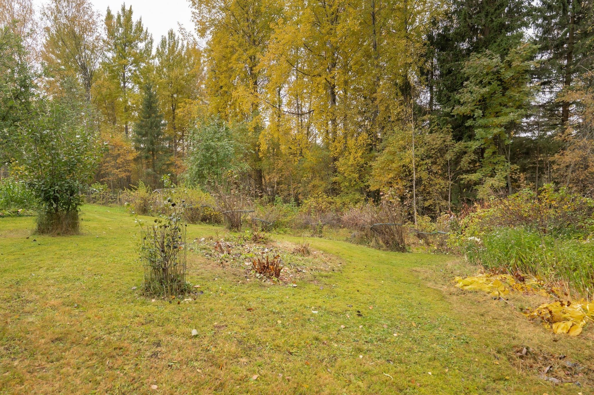 Kohdekuva 37