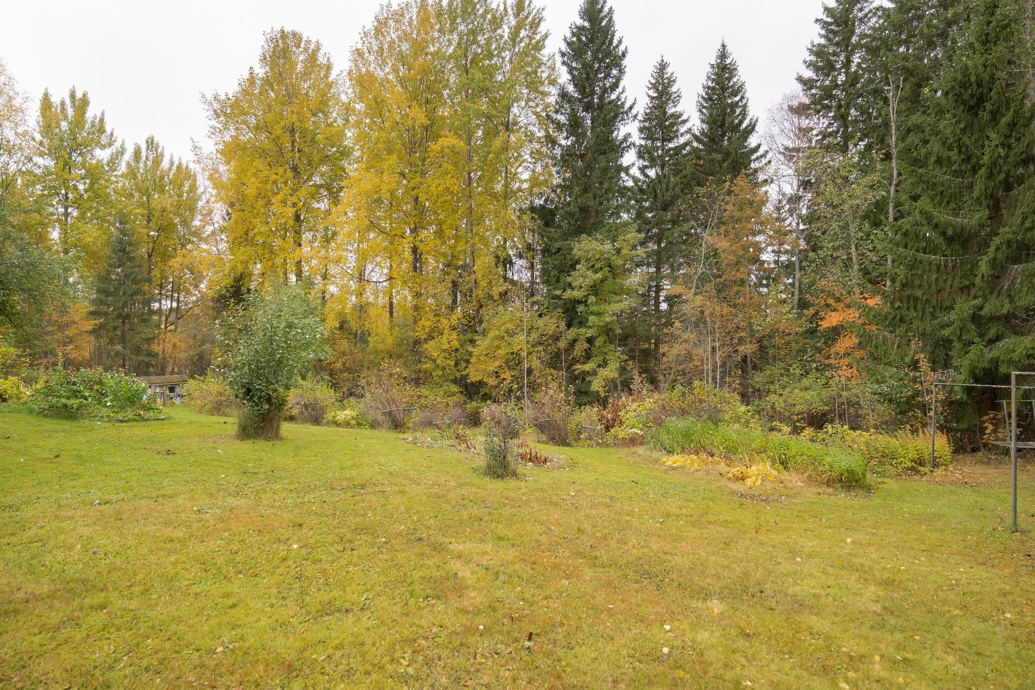 Kohdekuva 36