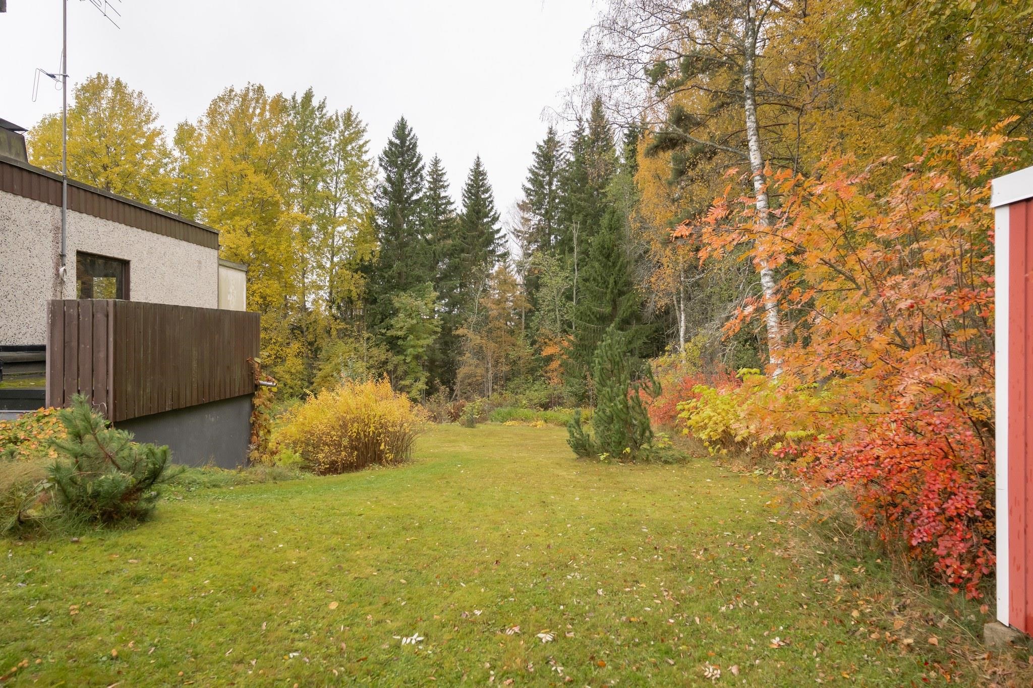 Kohdekuva 42