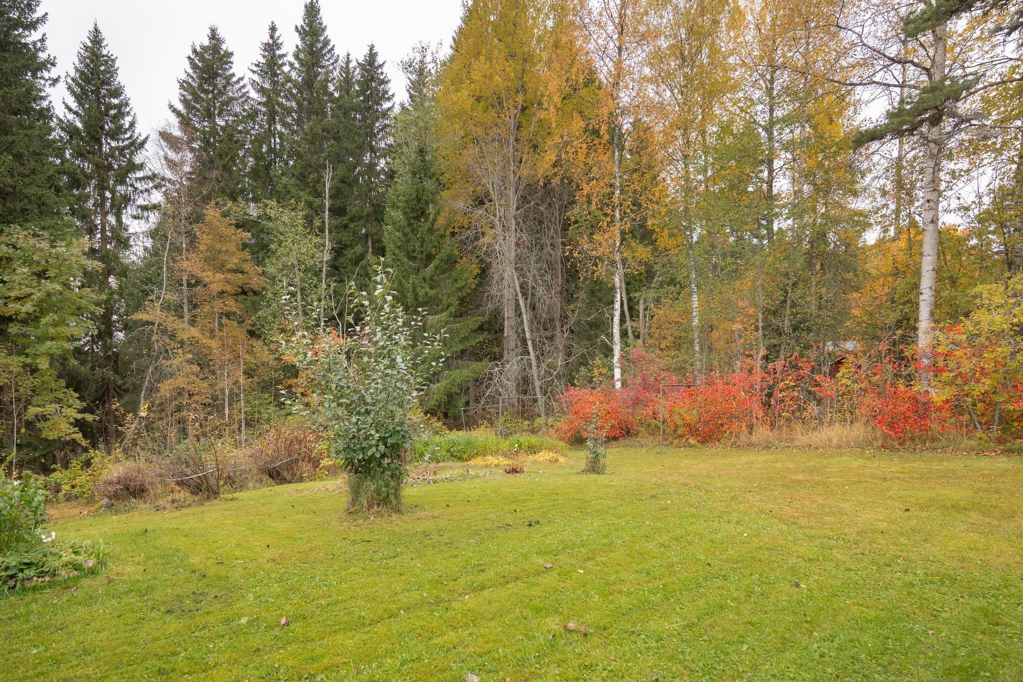 Kohdekuva 38