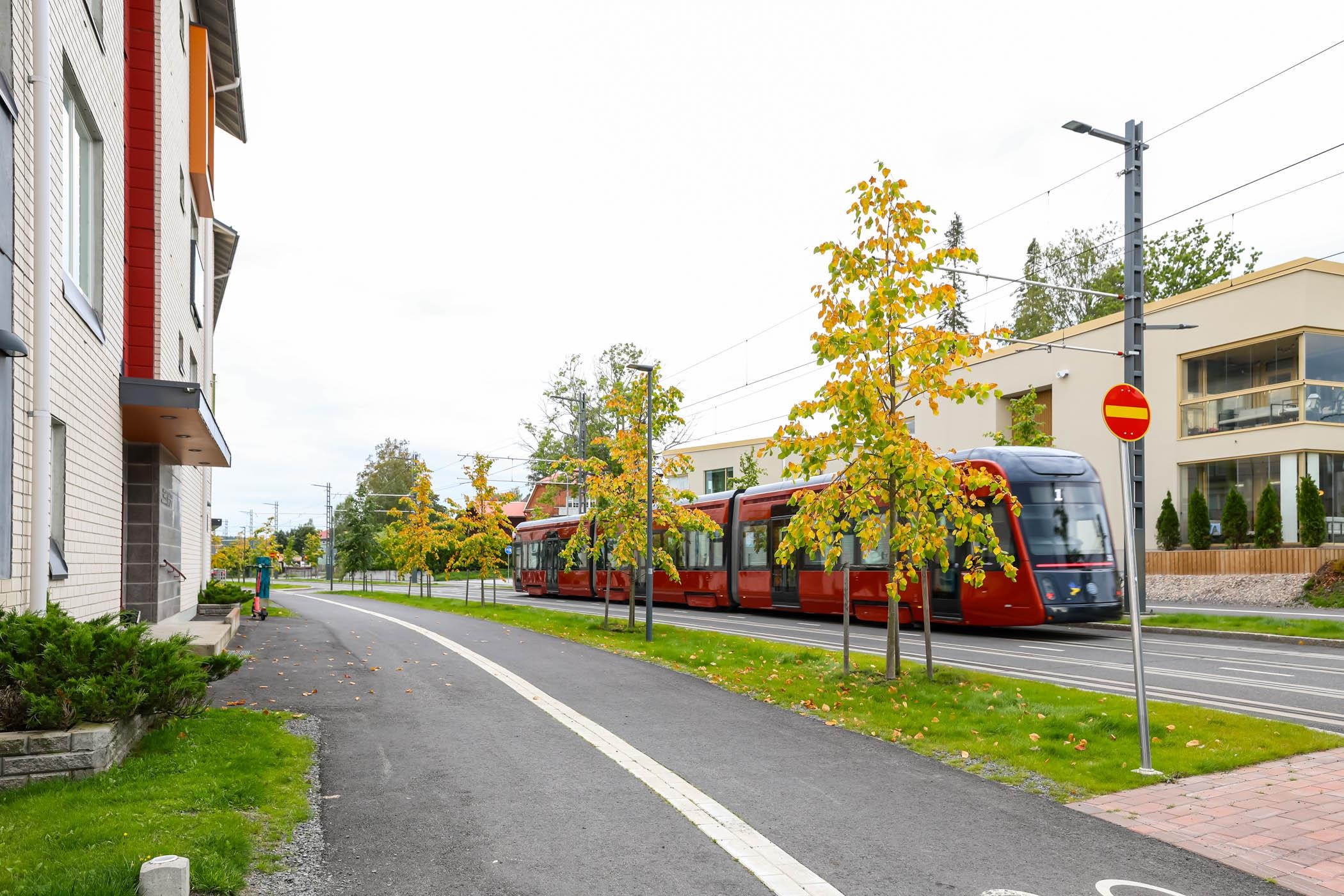 Kohdekuva 19