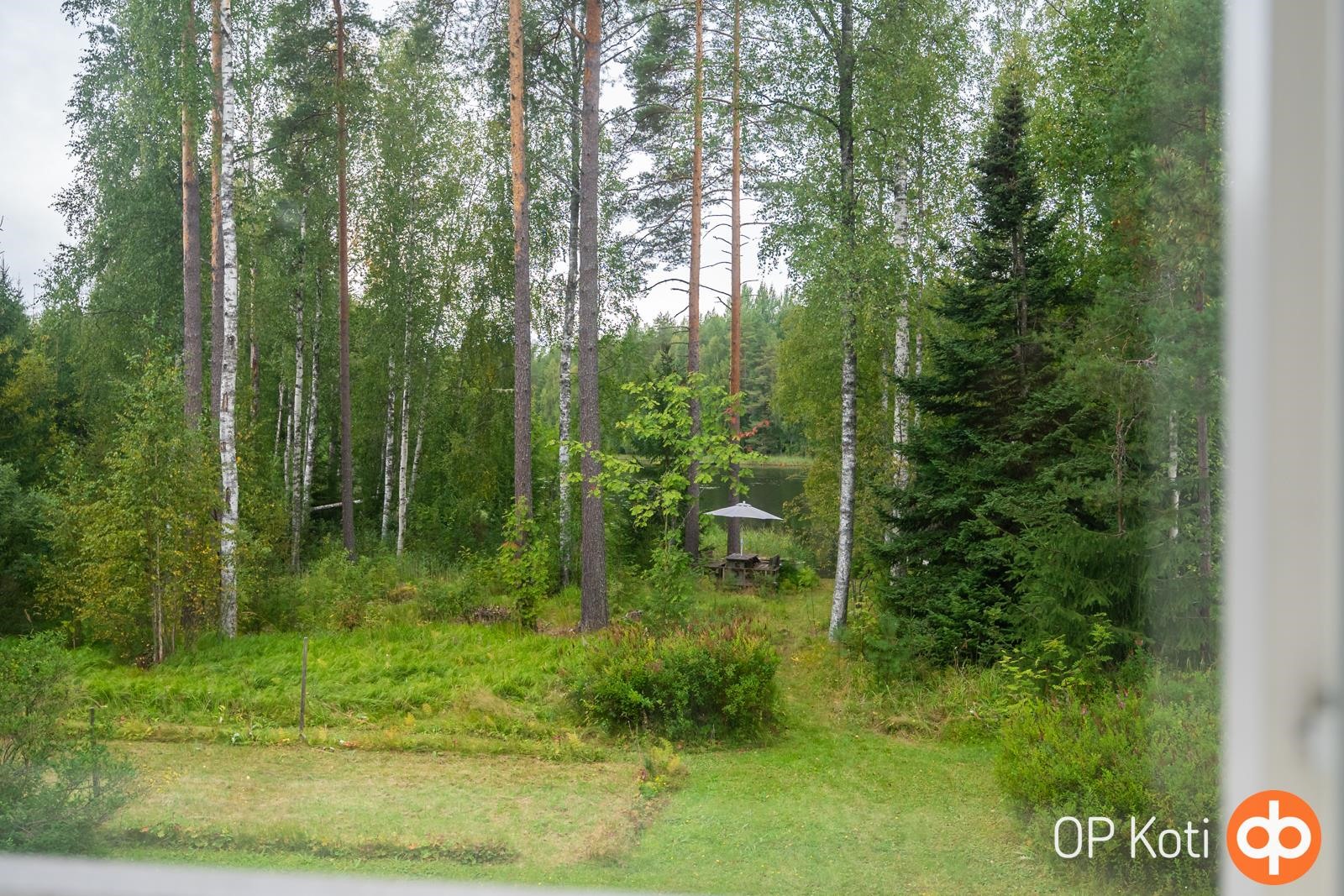 Näkymä järven suuntaan parvella