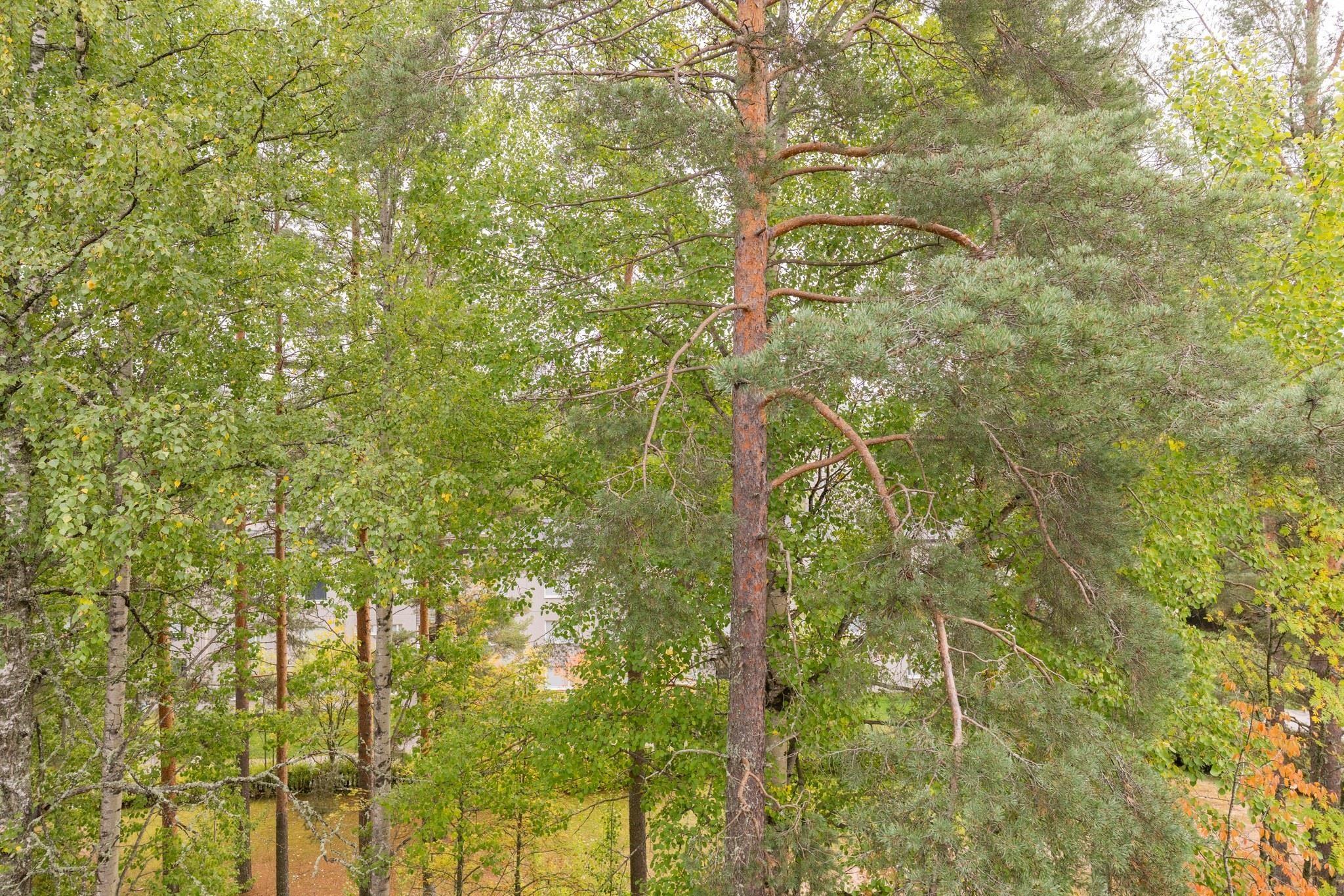 Kohdekuva 16