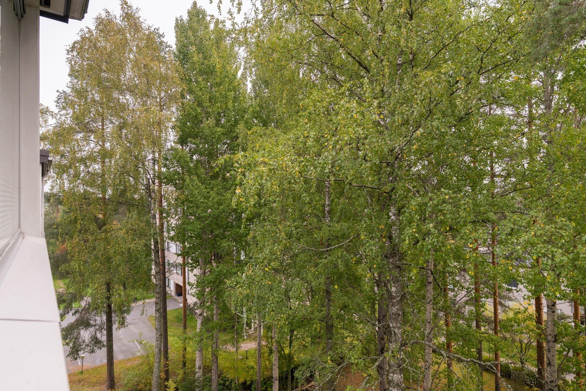 Kohdekuva 17