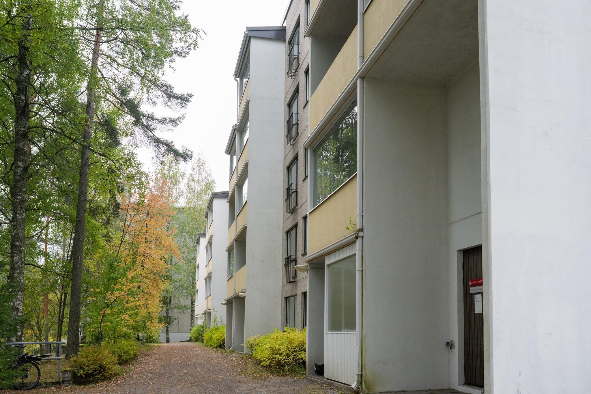 Kohdekuva 18