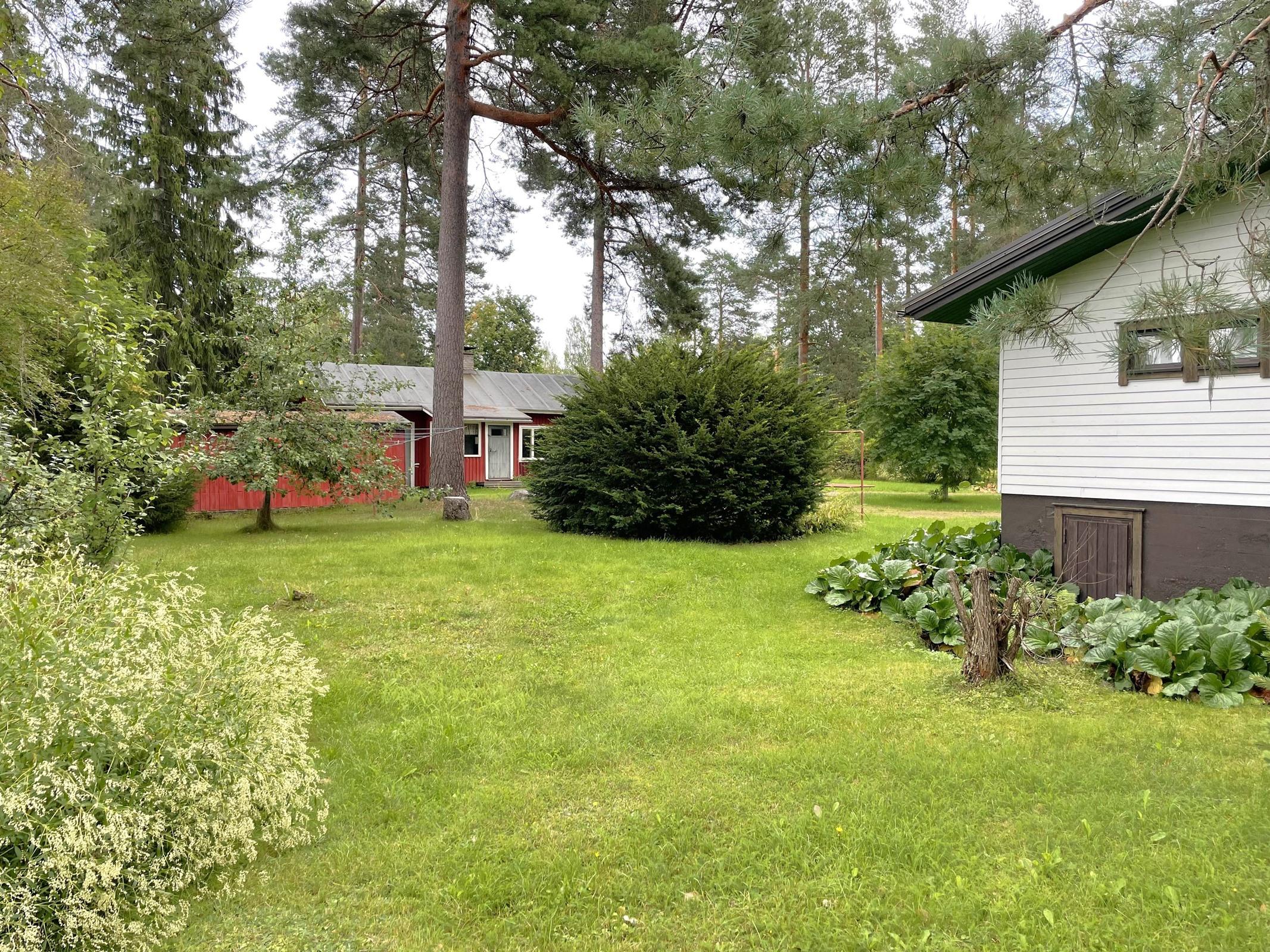 Kohdekuva 20