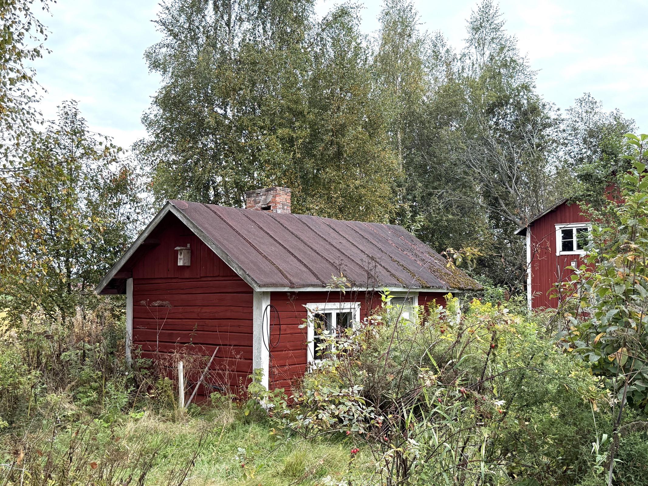 Kohdekuva 19
