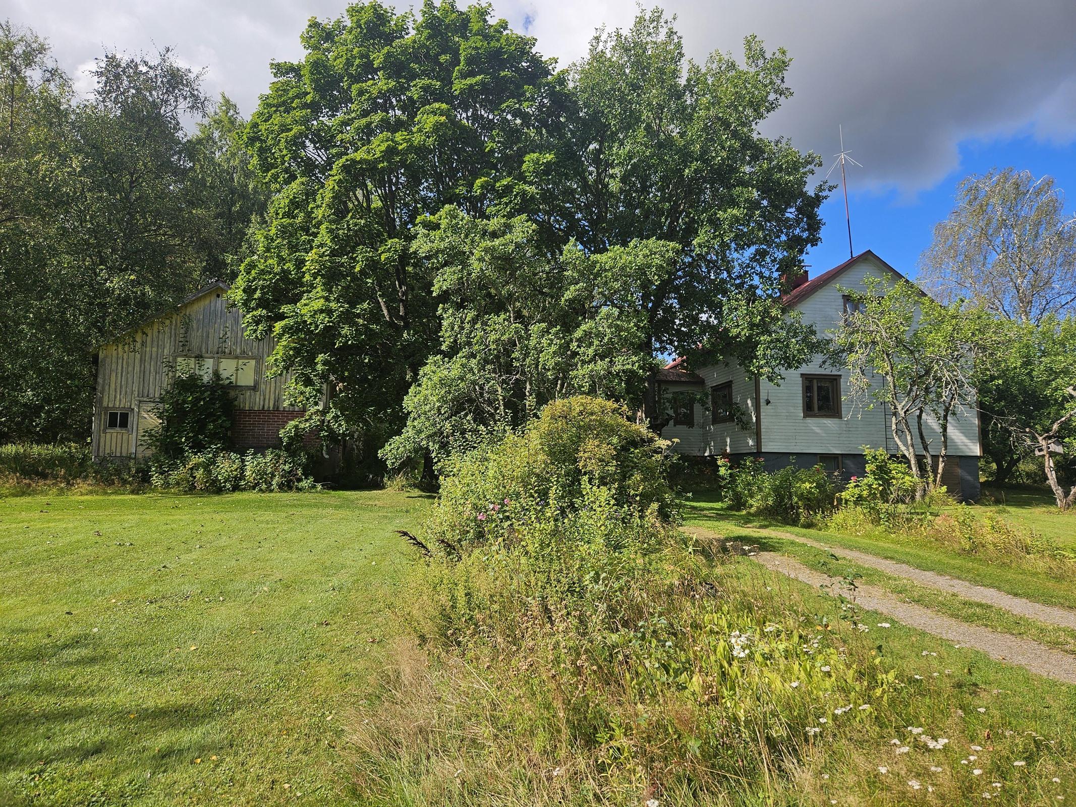 Kohdekuva 1