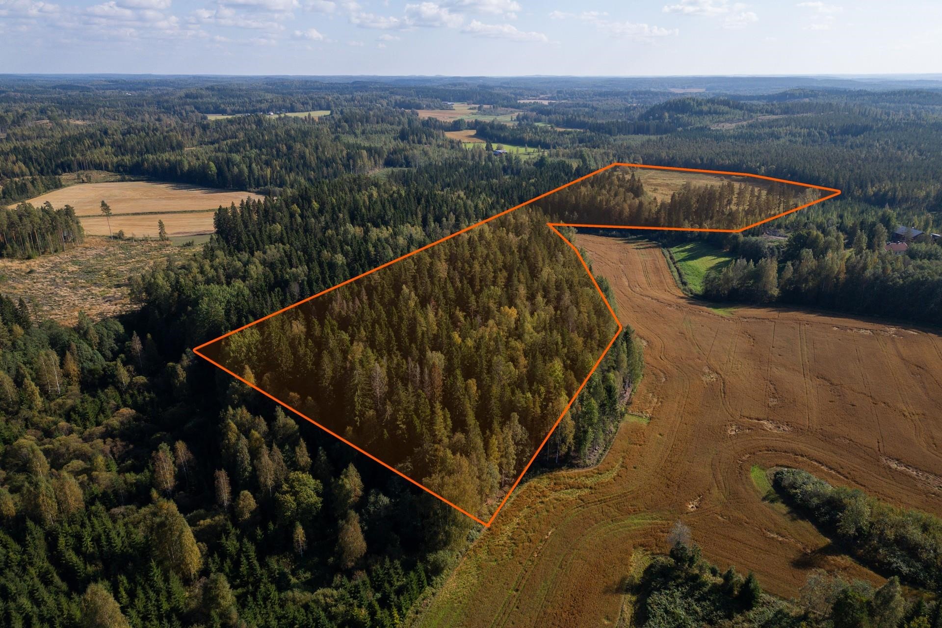 Suuntaa antavat kiinteistön rajat