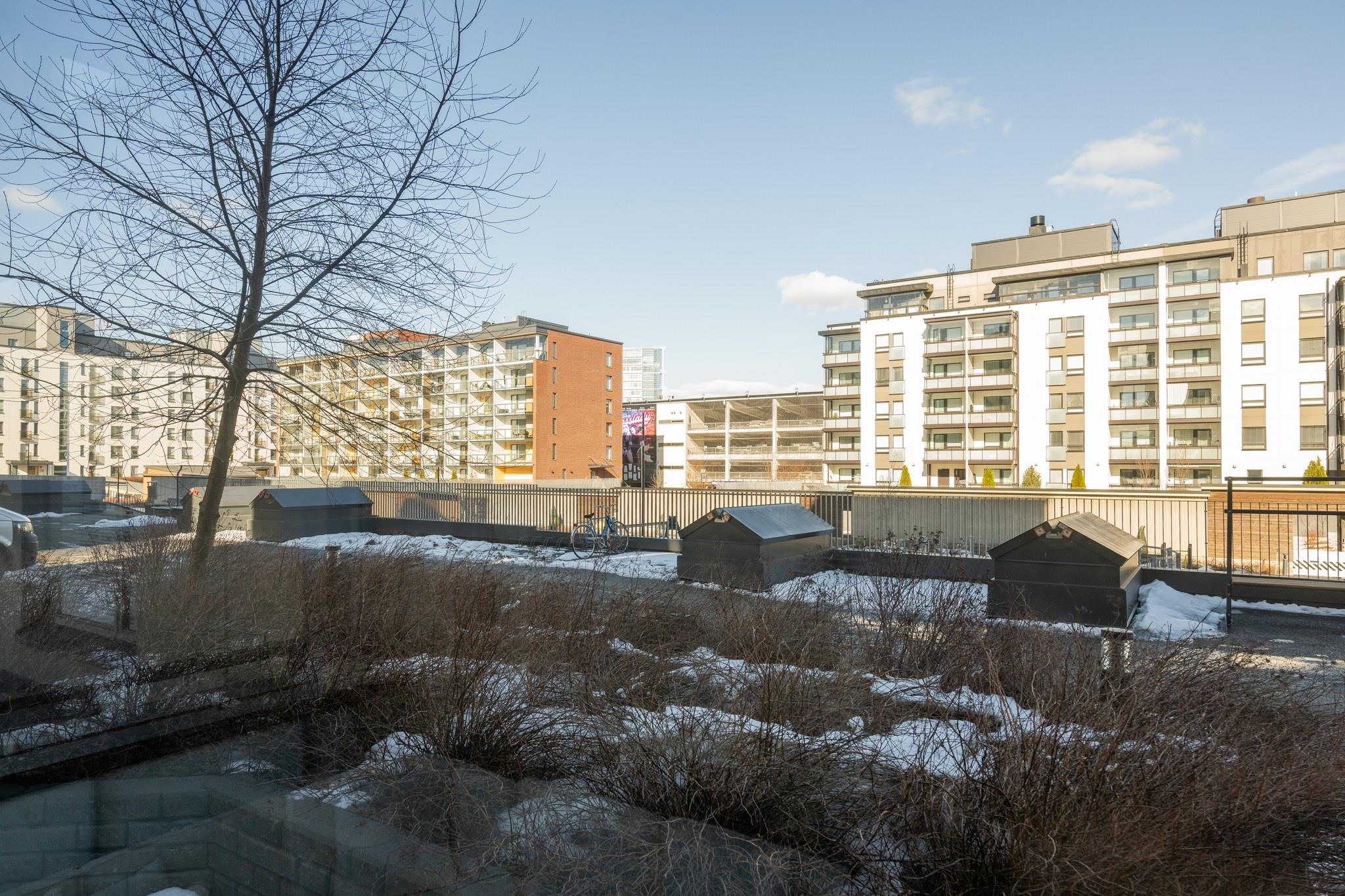Kohdekuva 19