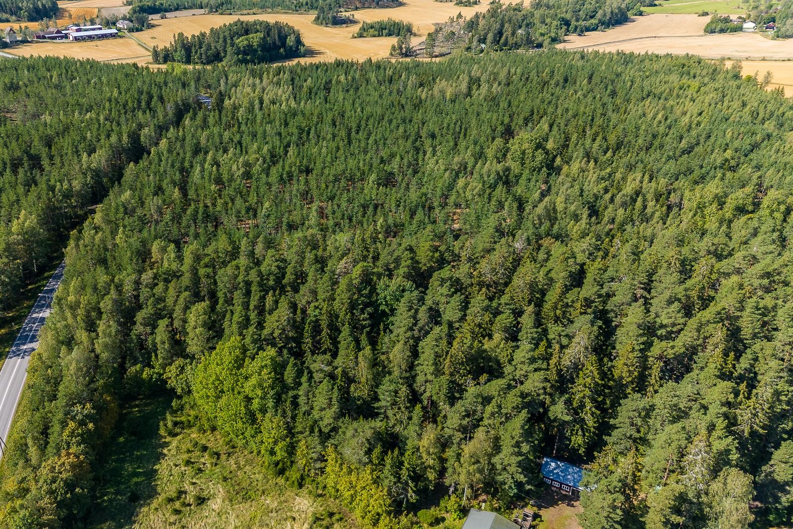 Kohdekuva 16