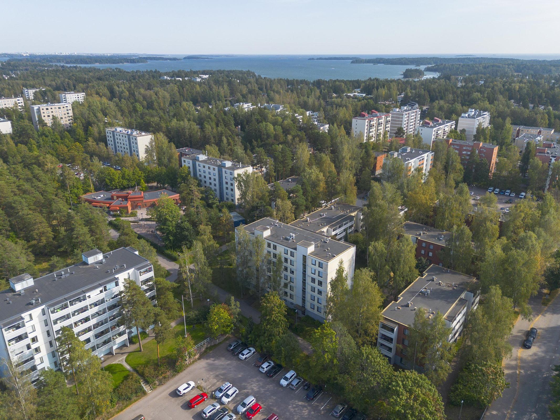 Kohdekuva 24