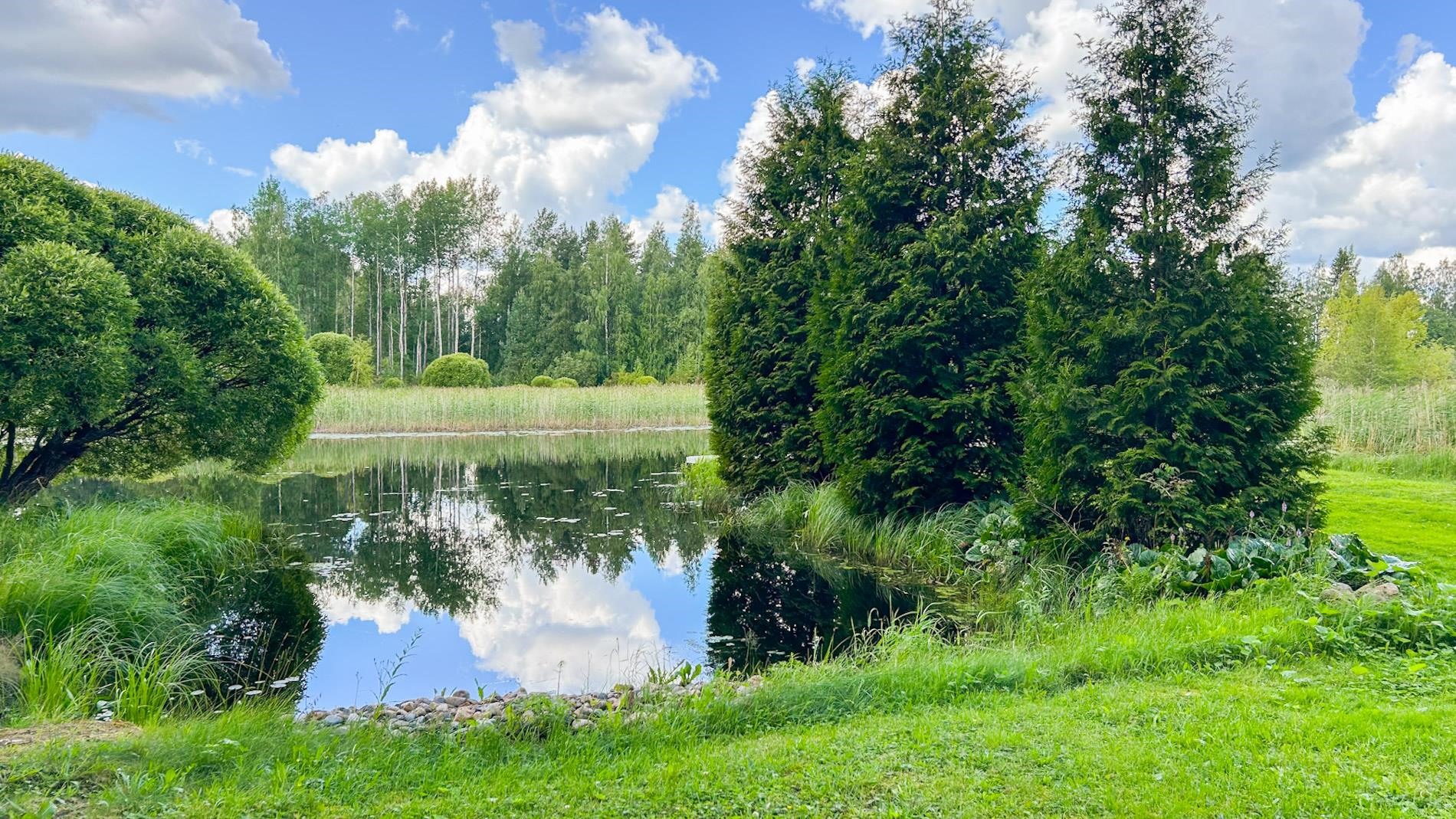 Kohdekuva 29
