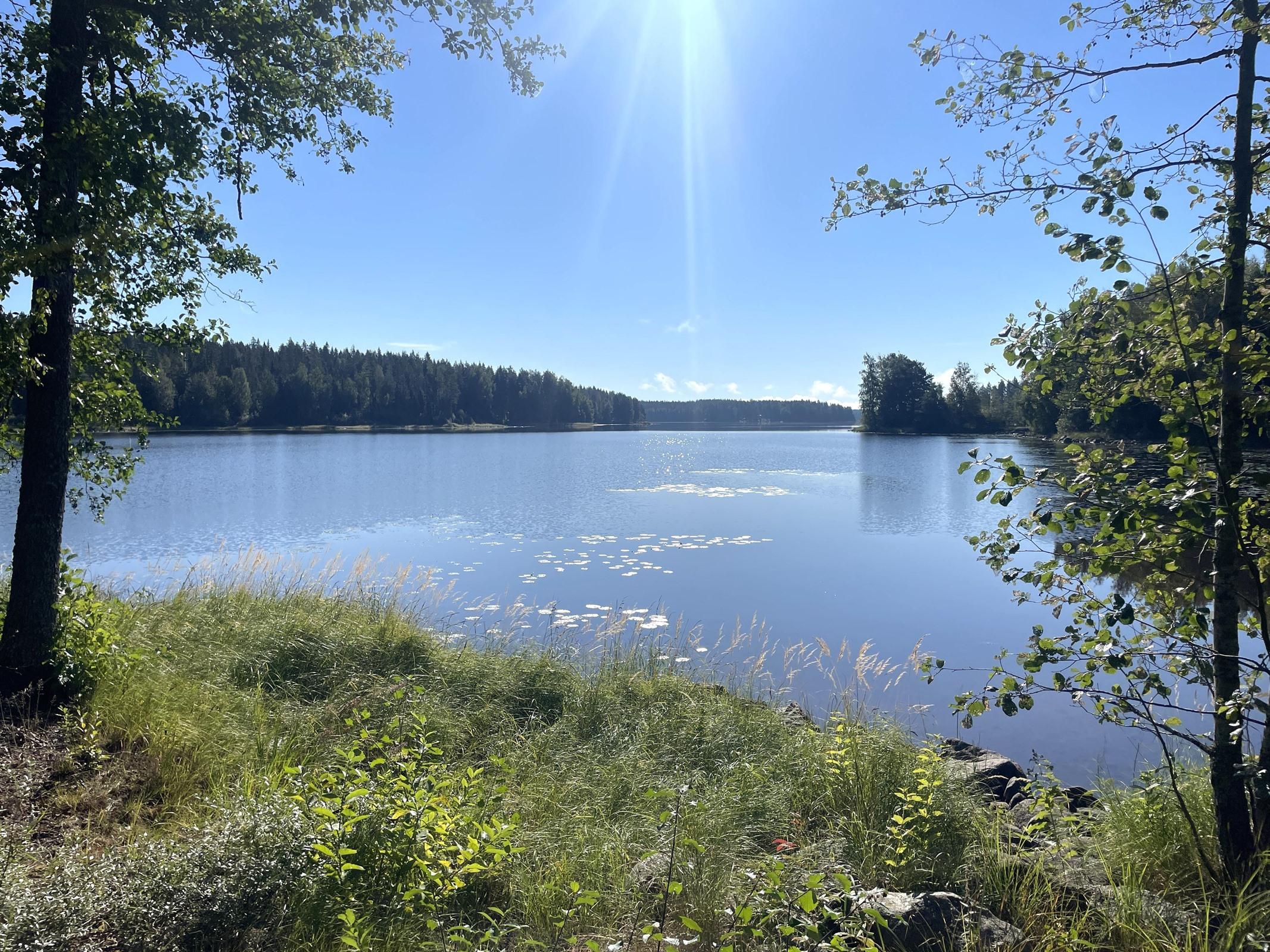 maisema Tarjannevesistön Tammilahdelle