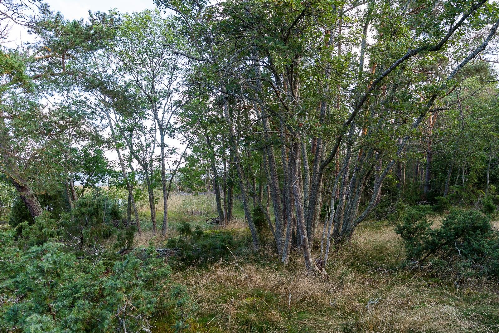 Kohdekuva 44