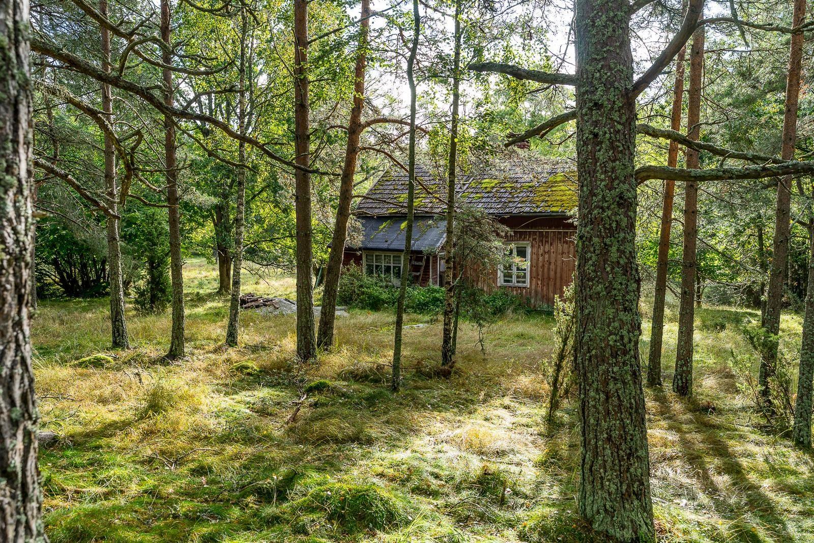 Kohdekuva 36