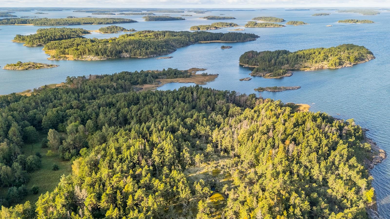 Kohdekuva 31