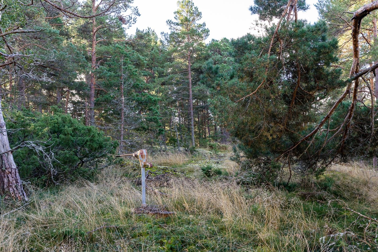 Kohdekuva 16