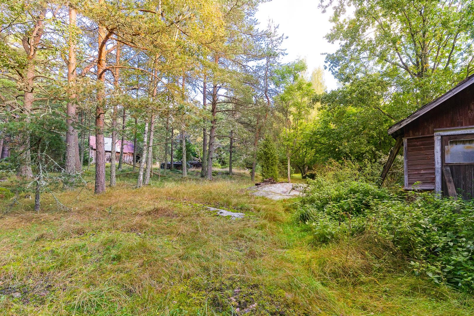 Kohdekuva 42