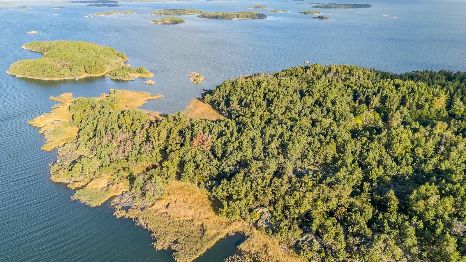 Kohdekuva 34