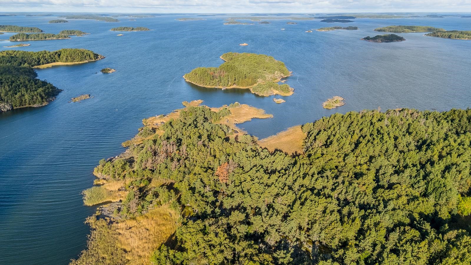 Kohdekuva 33