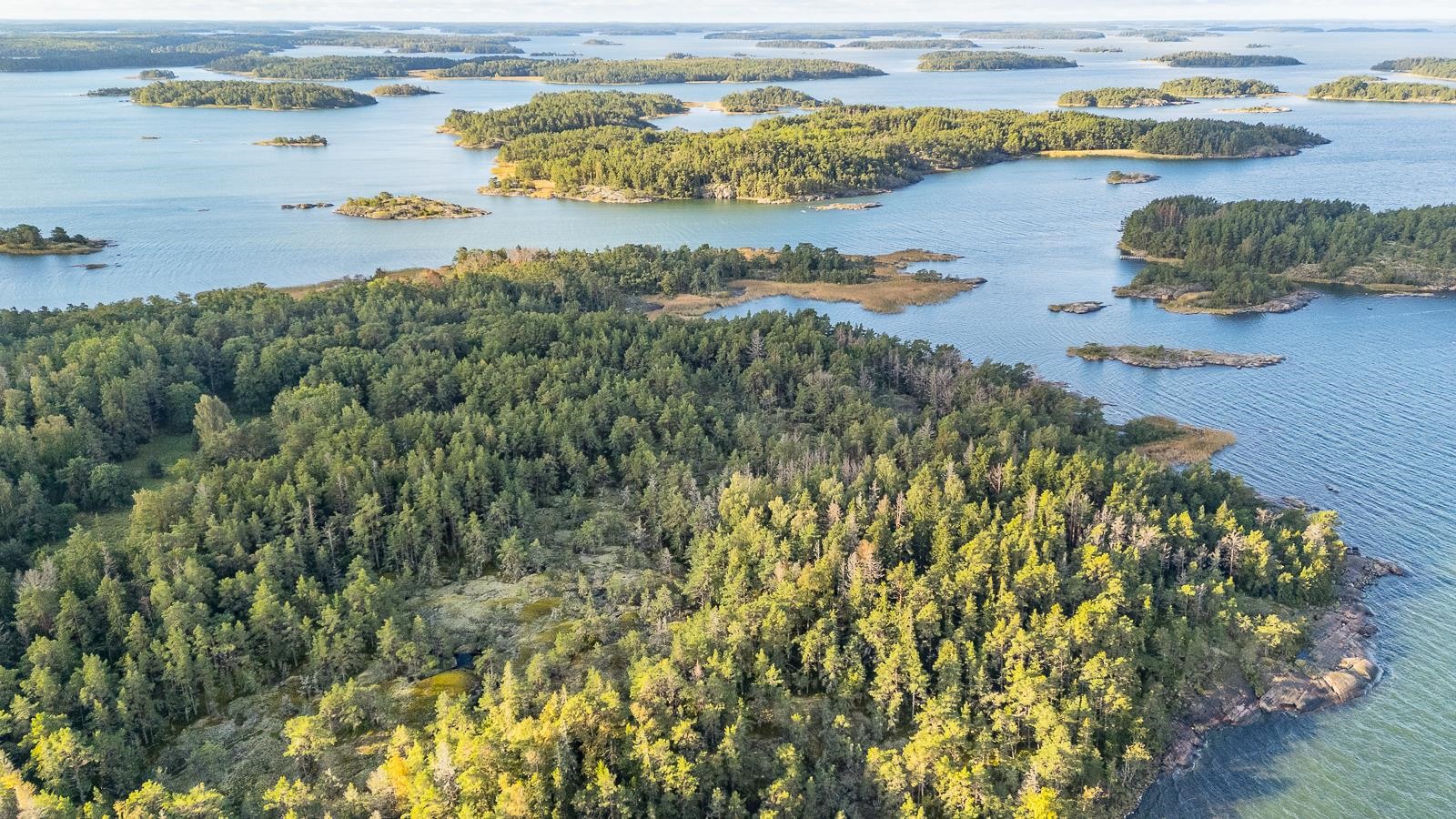 Kohdekuva 30