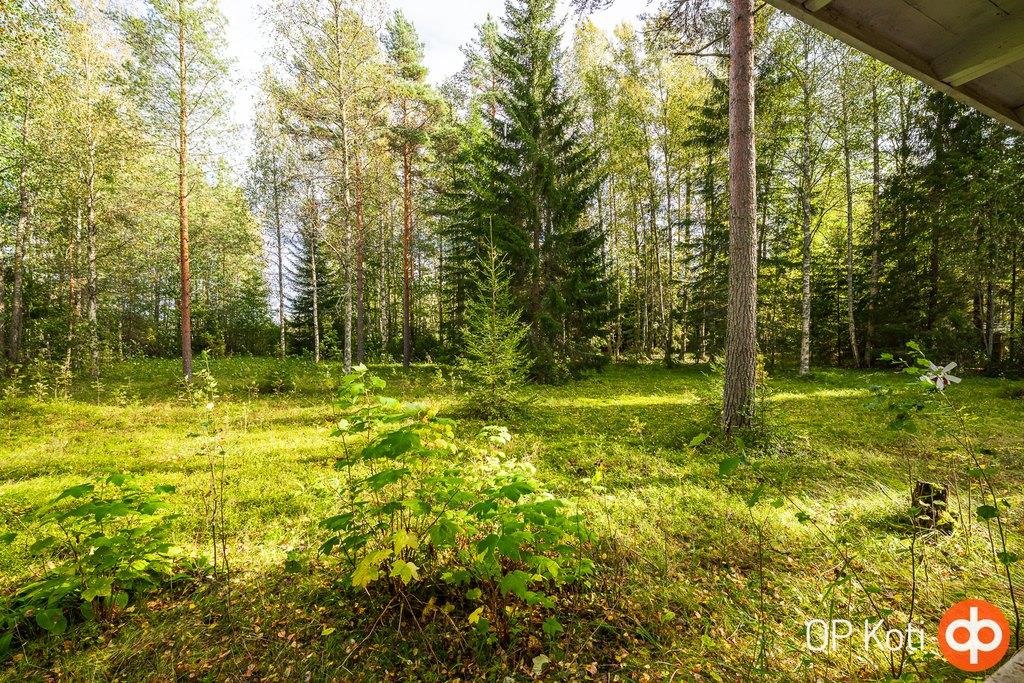 Kohdekuva 10